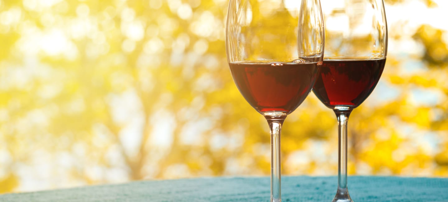Bästa röda vinerna hösten 2024.