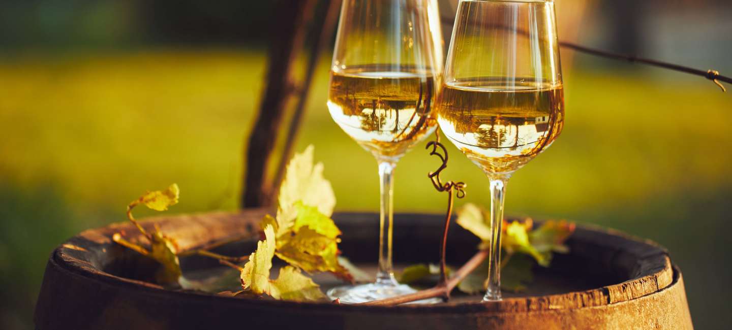 Höstens bästa vita vin på en vintunna en höstdag.