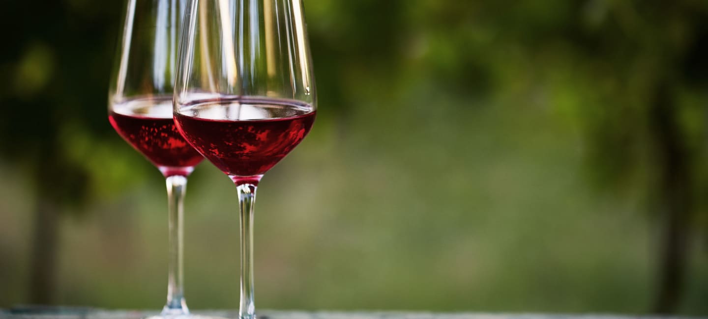 Malbec, vin i två glas med grön bakgrund.
