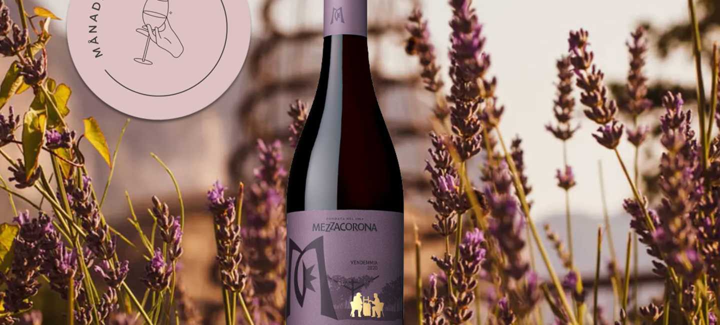 Mezzacorona Pinot Nero, månadens Mats i februari 2024.