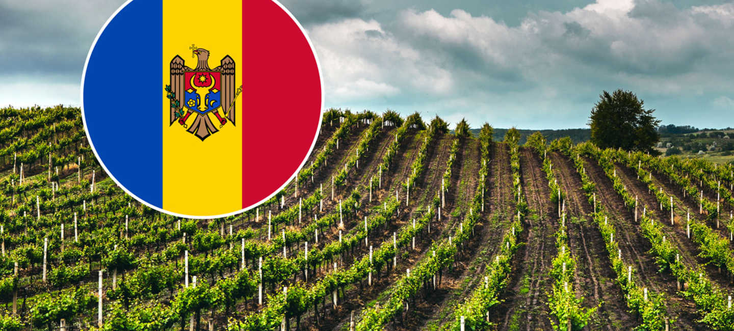 Vingård i Moldavien med Moldaviens flagga.