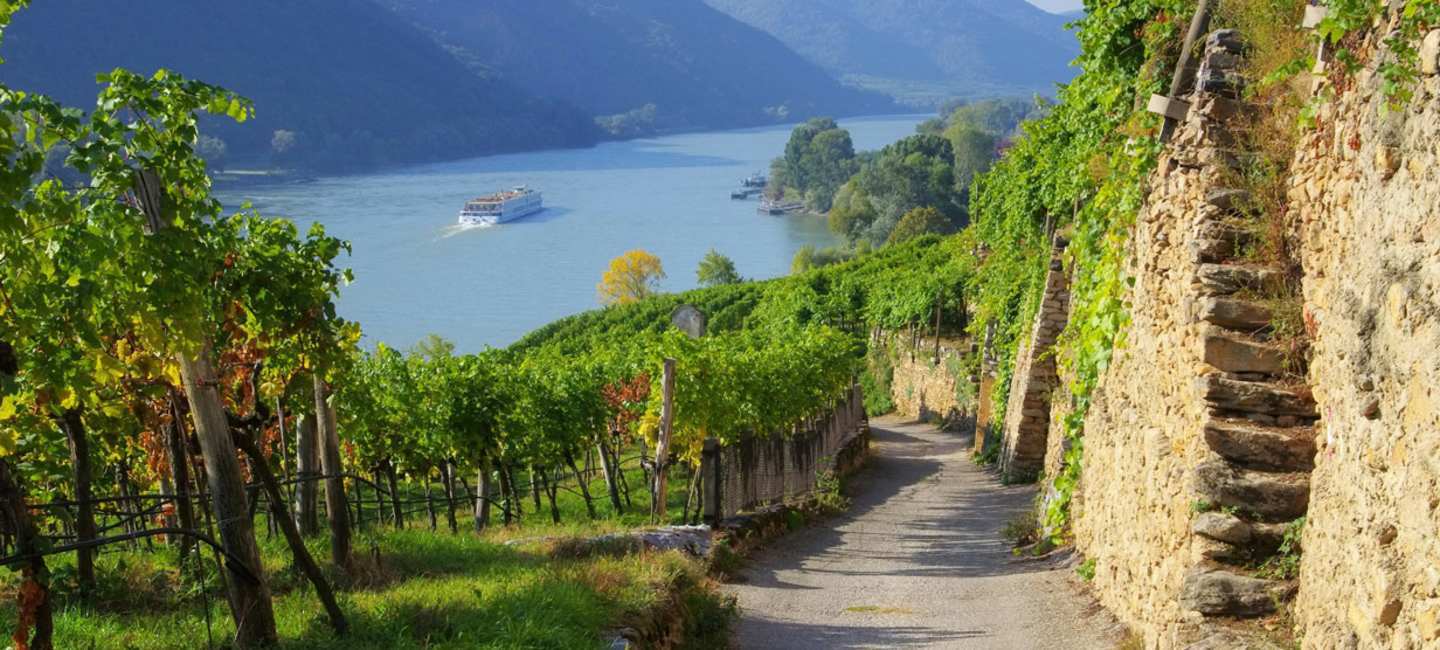 Wachau i Niederösterreich.
