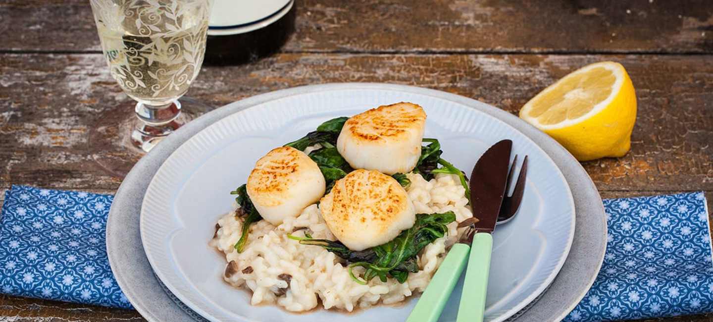 Kantarellrisotto med pilgrimsmusslor