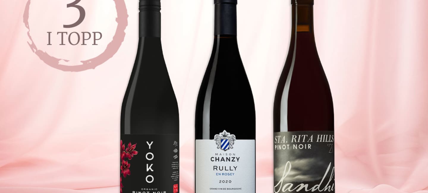 3 goda pinot noir-viner.