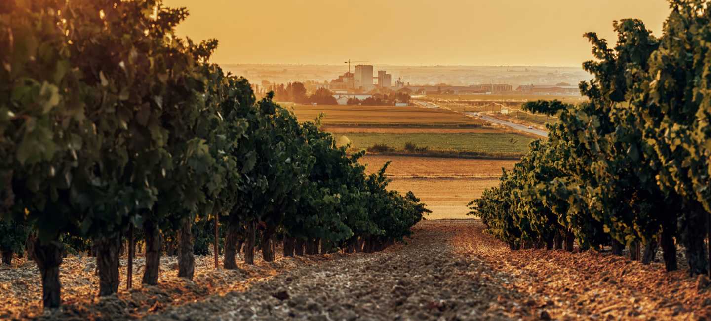 Toro, vinregion i Spanien.