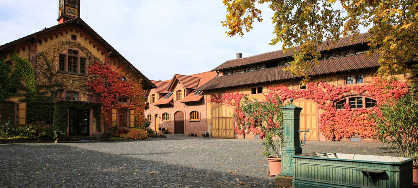 Villa Wolf i Pfalz.