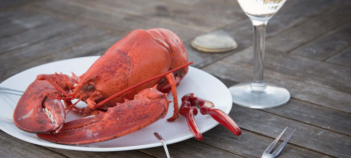 Välja vin till naturell hummer