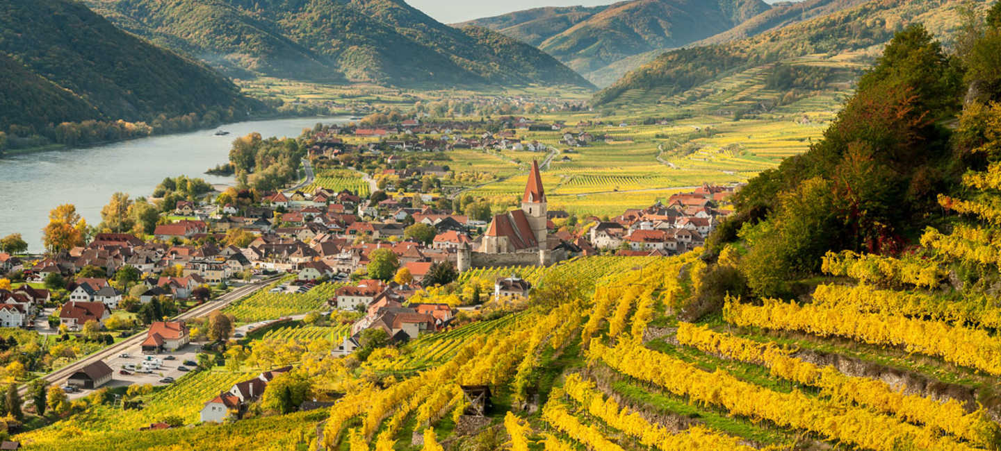 Vindistriktet Wachau i Österrike.