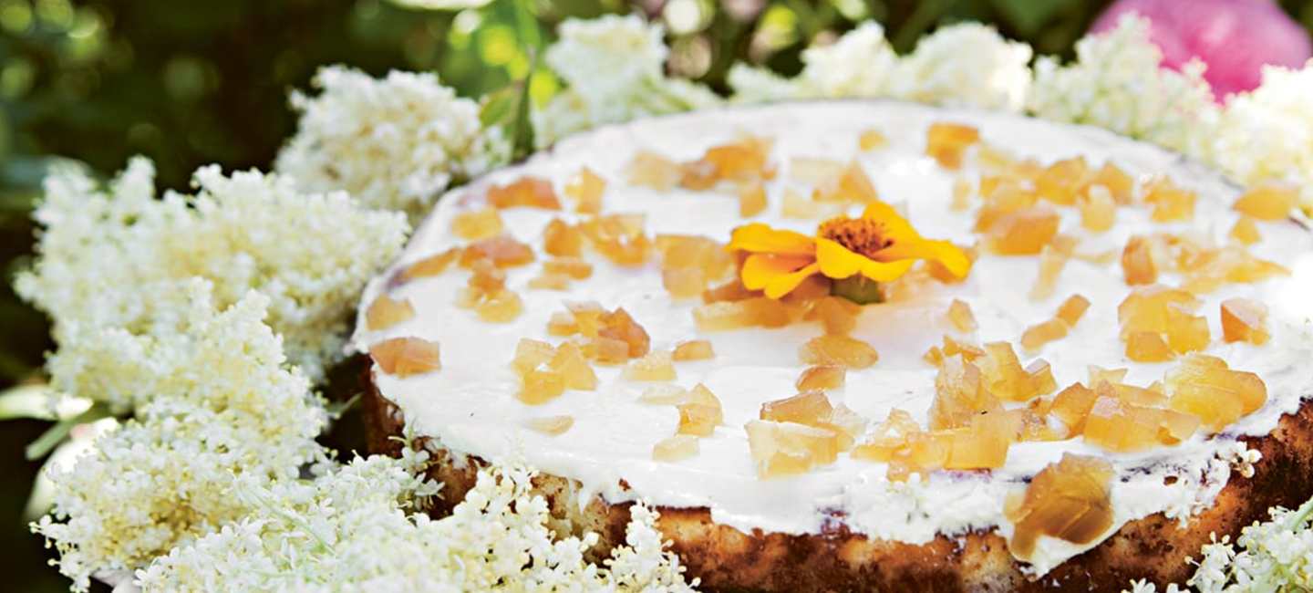 Rabarbercheesecake