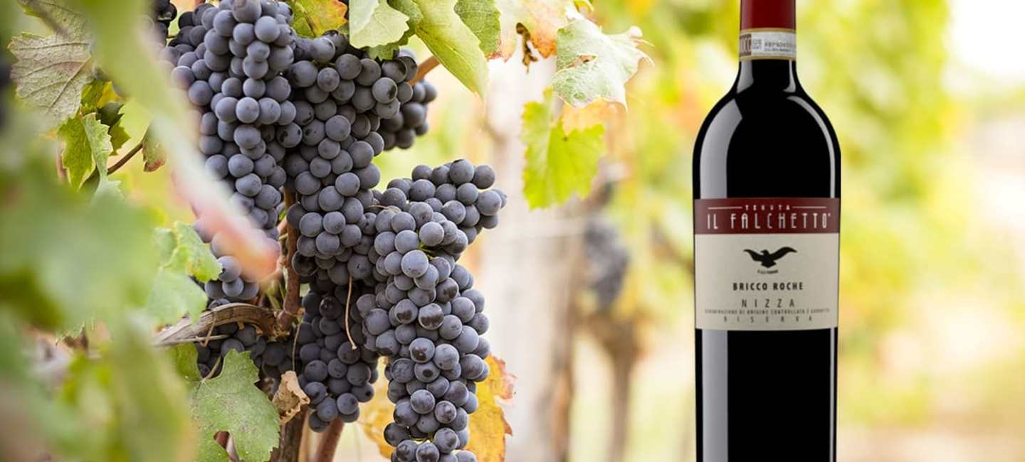 Il Falchetto Nizza Reserva Bricco Roche