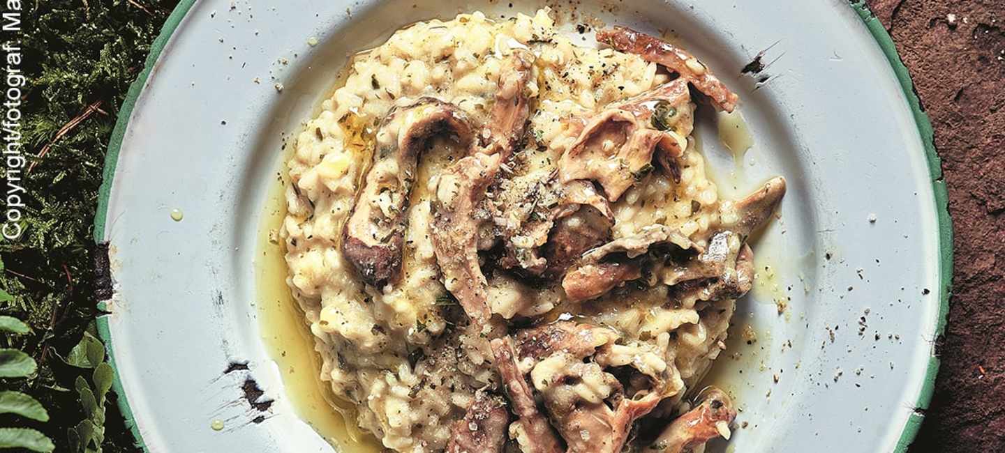 Krämig svamprisotto