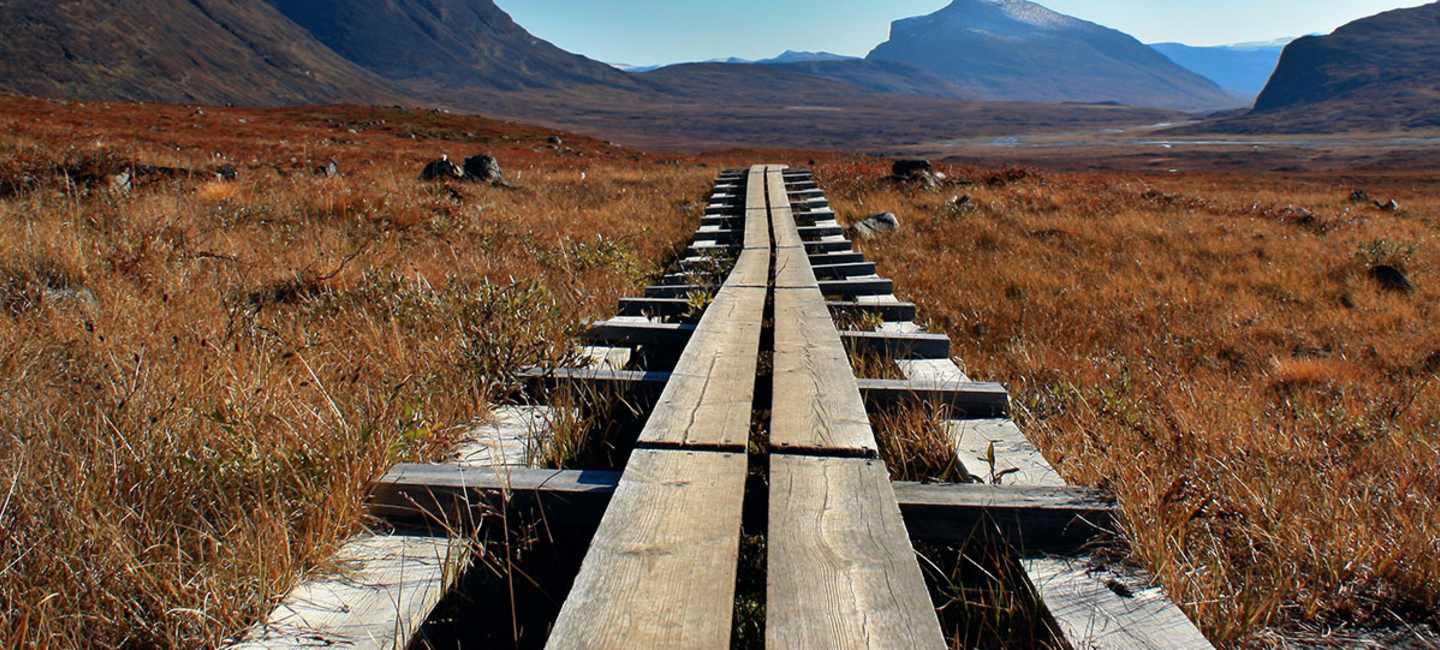 Vandringsleden Kungsleden