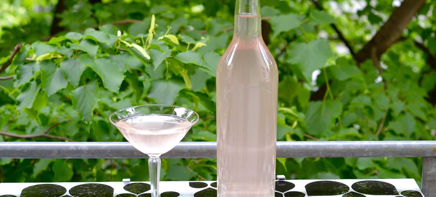 Rabarber-martini i flaska och glas och grönska i bakgrund