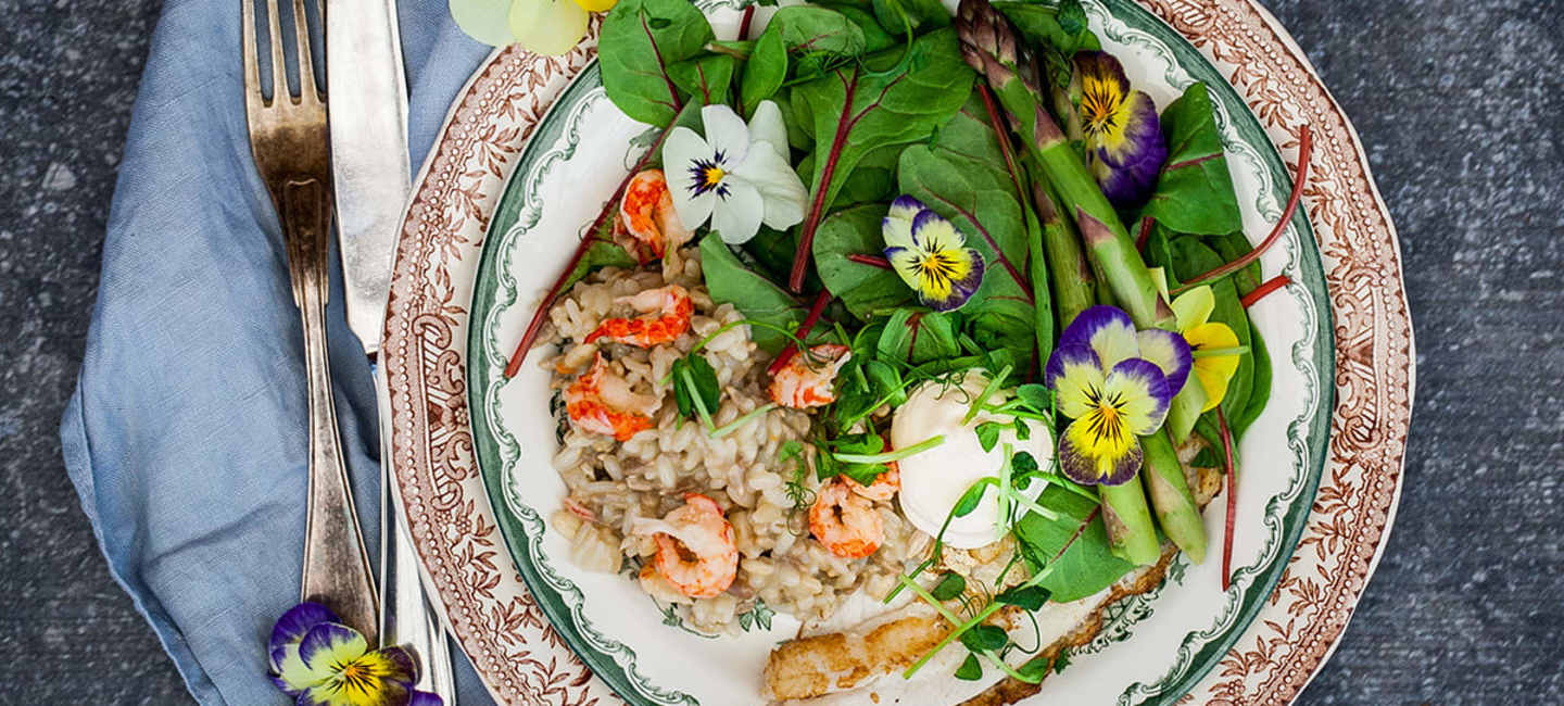 Krämig risotto med kräftstjärtar, stekt färsk fisk och aioli