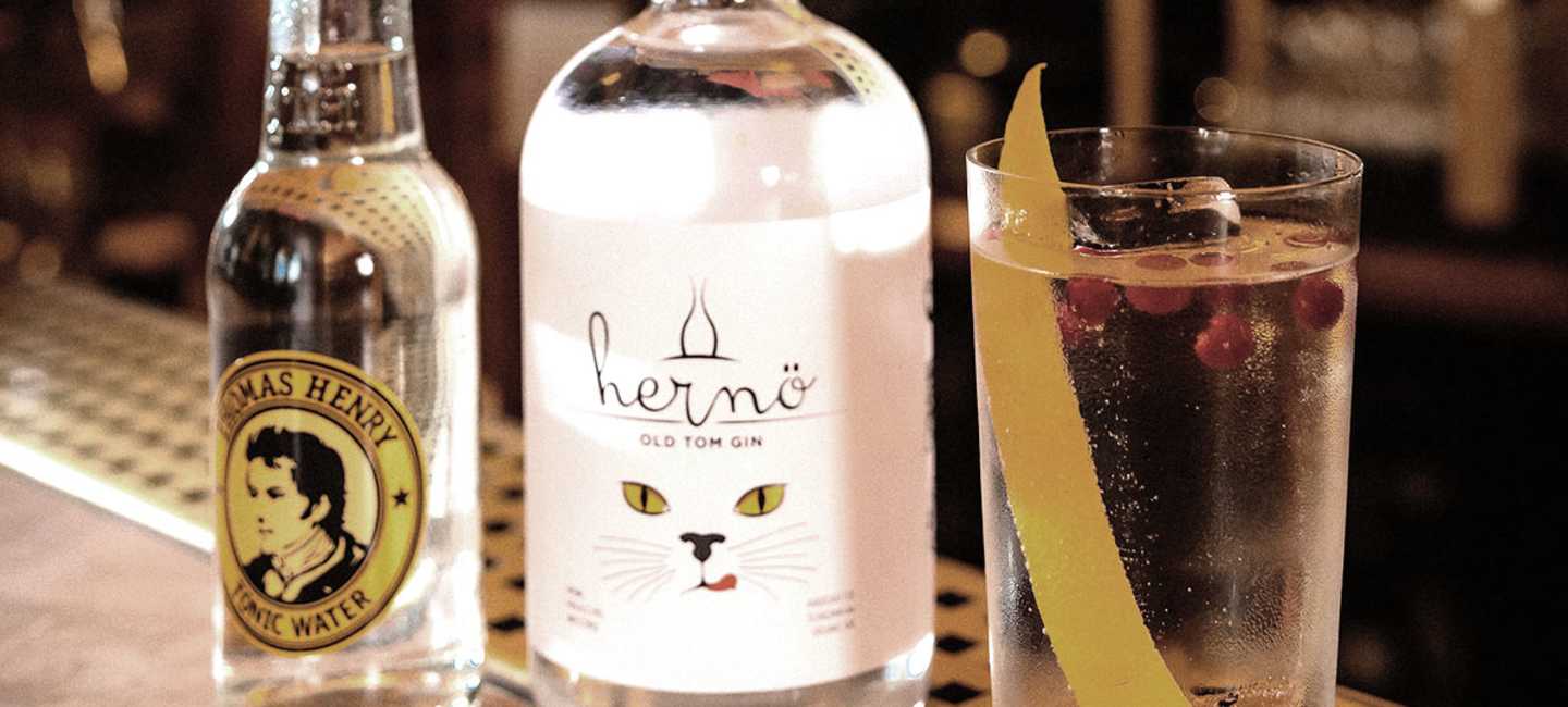 Gin & Tonic – vi hjälper dig att bli expert på Sveriges mest populära drink
