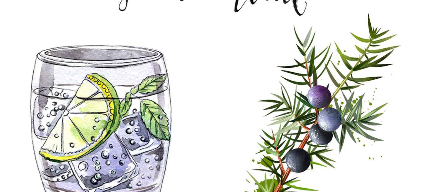 Visste du det här om gin och tonic?