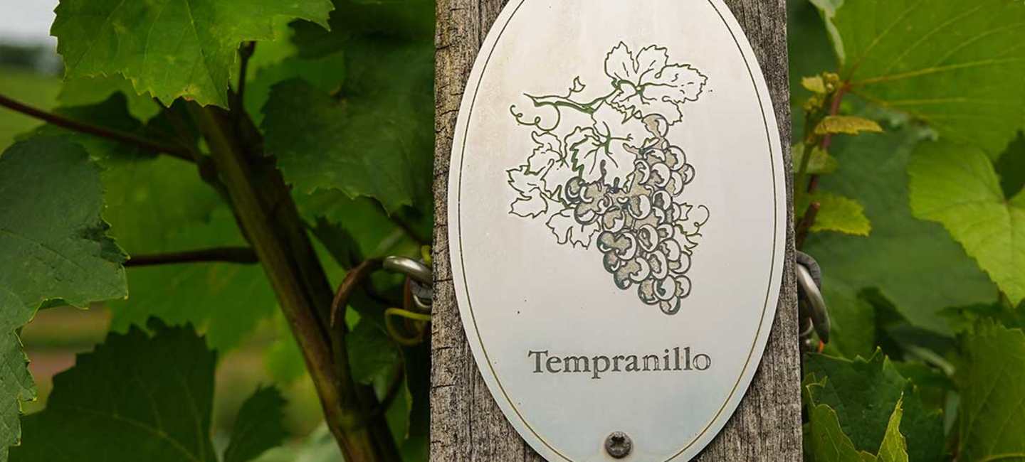 En skylt med ordet Tempranillo på en vingård.