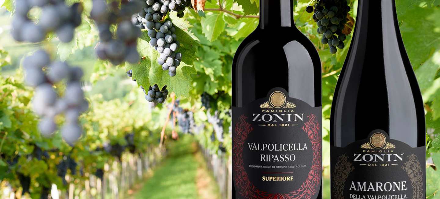 Viner från Zonin