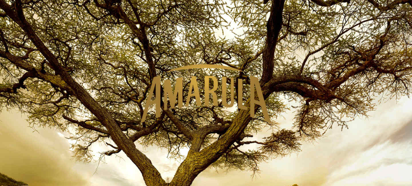 Amarula - hero-kuva logolla