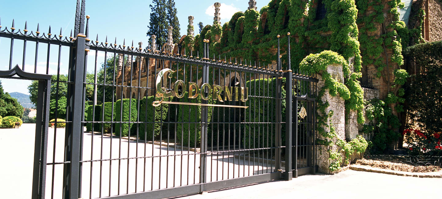 Codorniu -viinitilan portti