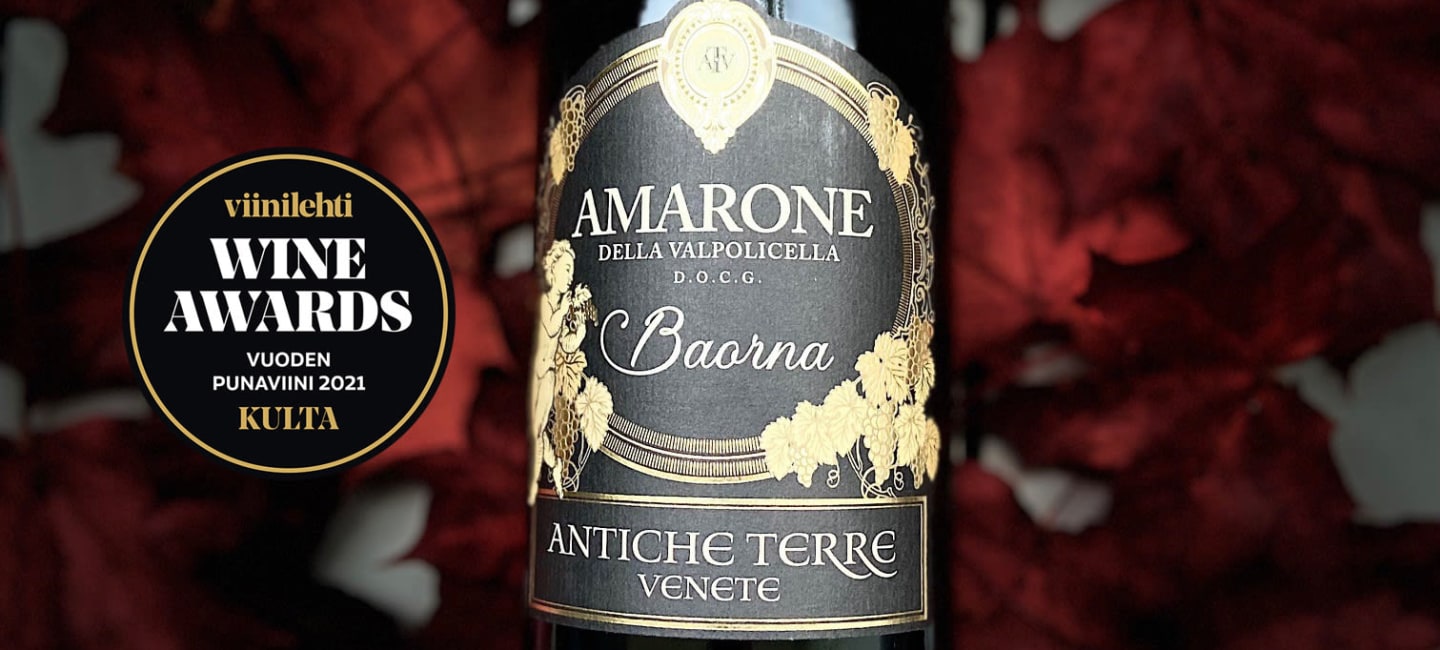 Antiche Terre Amarone