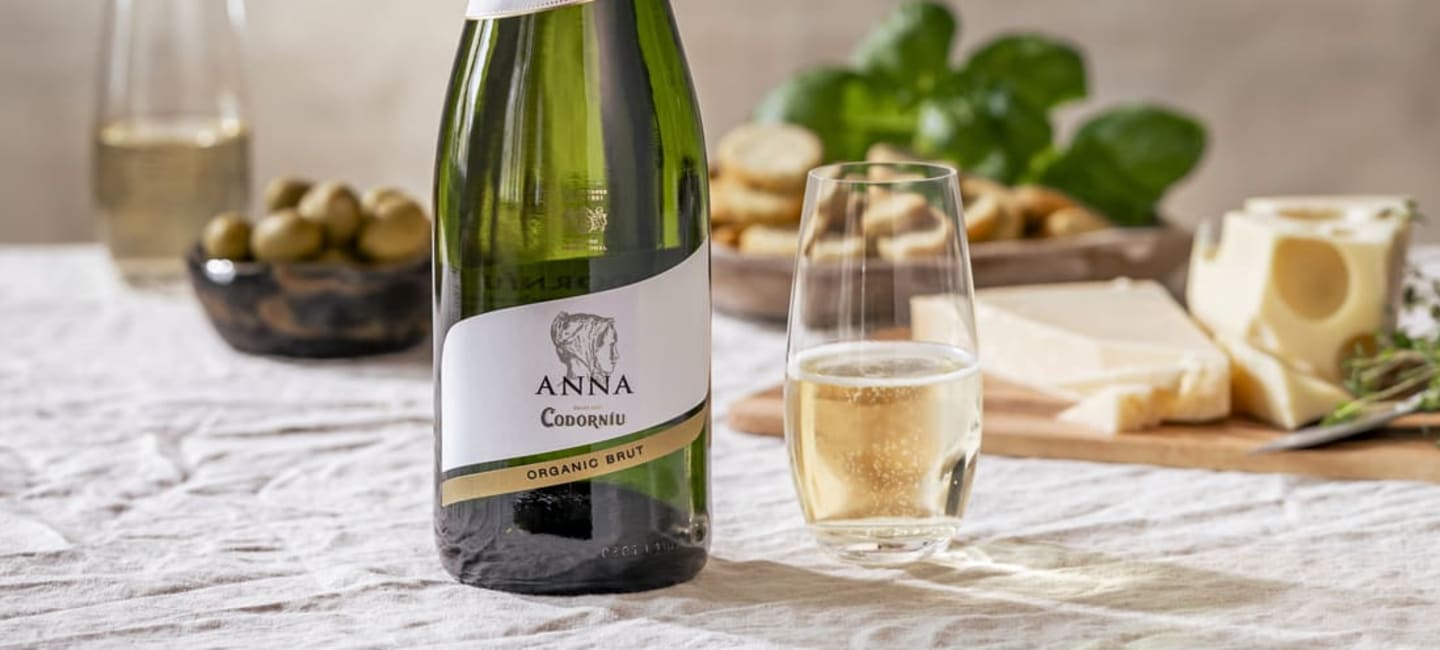 anna de codorniu viinipullo