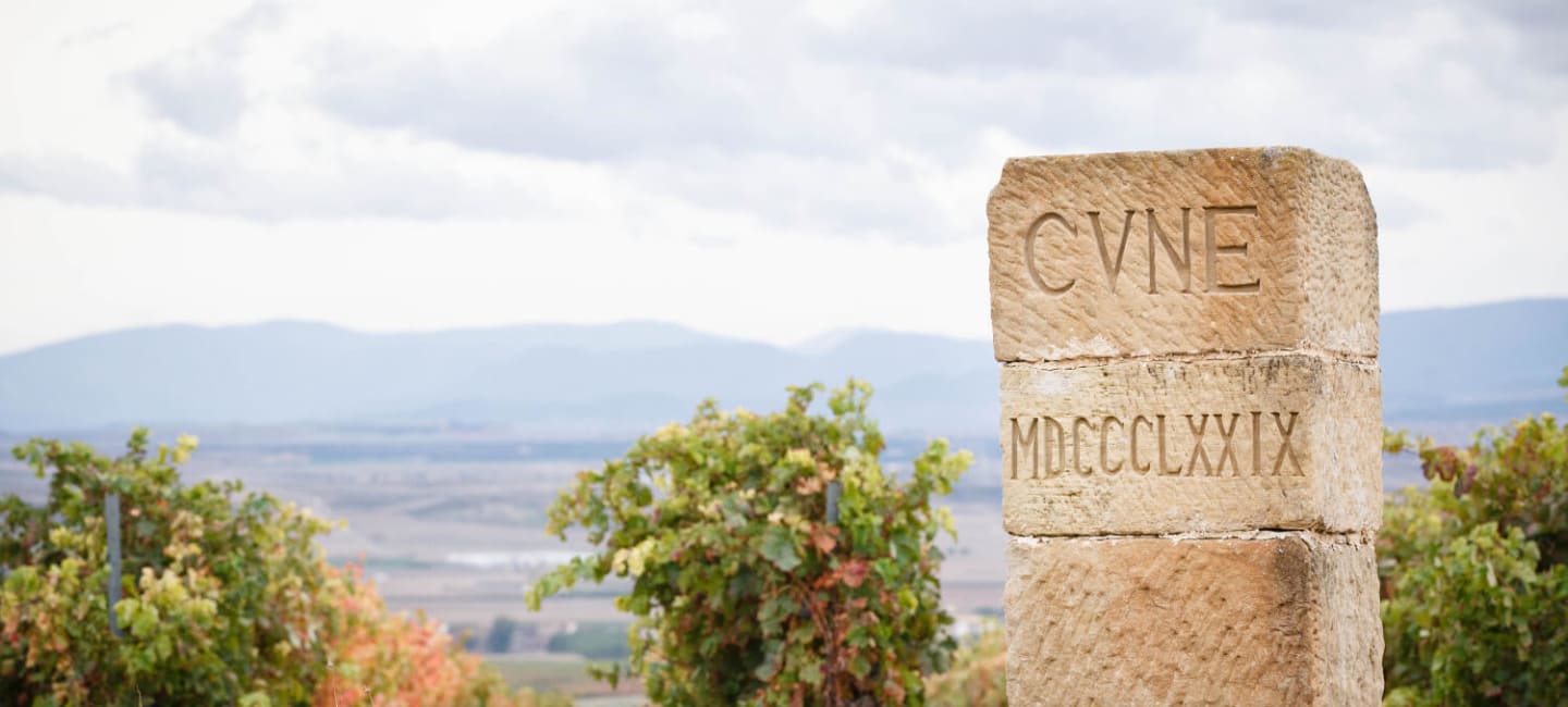 cvne viinitarha