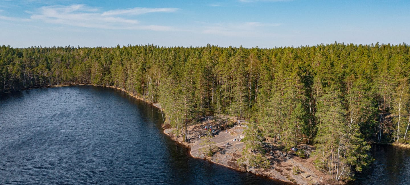 metsämaisema