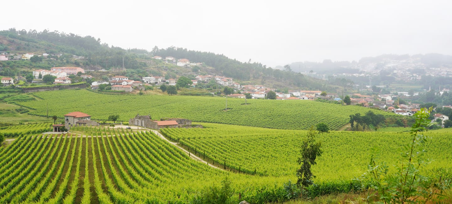 vinho_verde_viinialue_portugalissa
