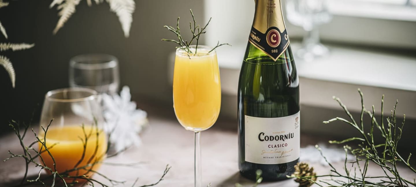 mimosa bellini
