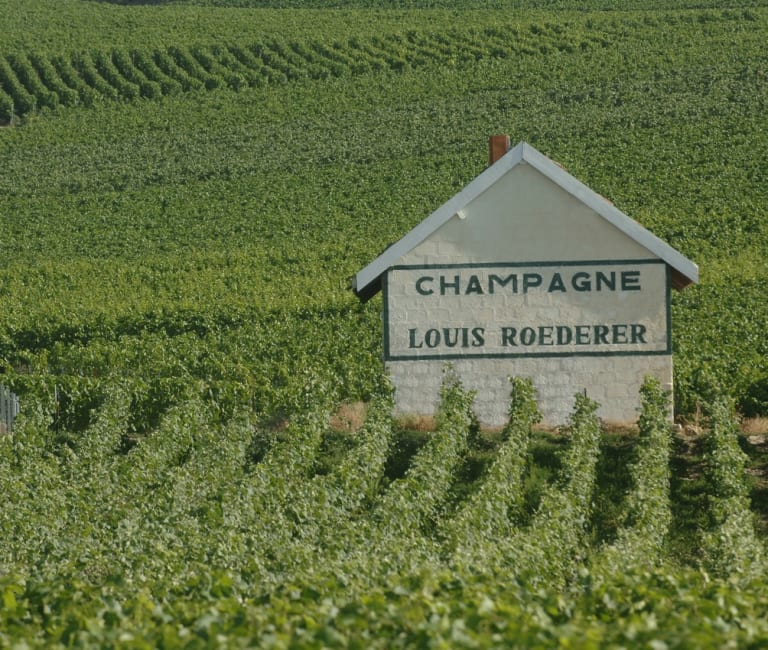 Champagne Louis Roederer Maison Lr Dans le Vignoble