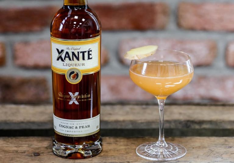 Xanté Ginger Martini Folkofolk