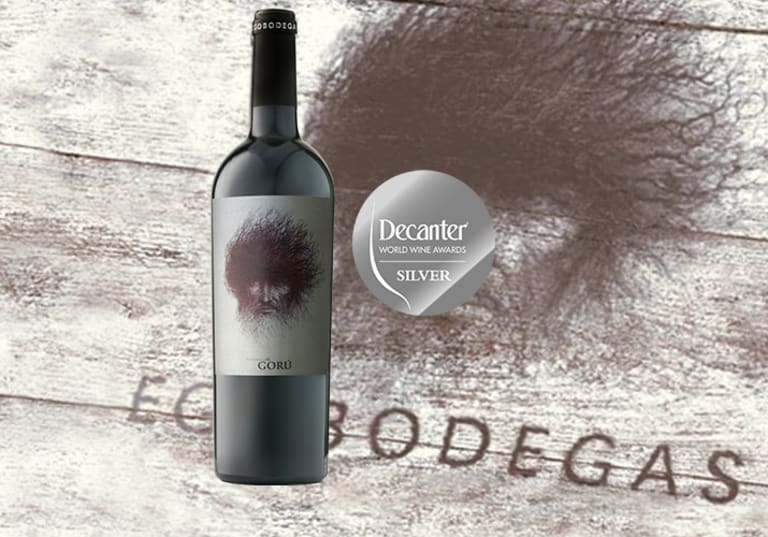 Goru pälvis hõbemedali DWWA võistlusel!