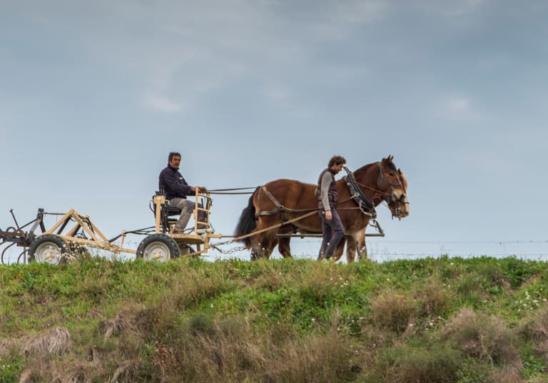 Raventos Blanc de Blancs „Wine Spectator Magazine” TOP 10-s!