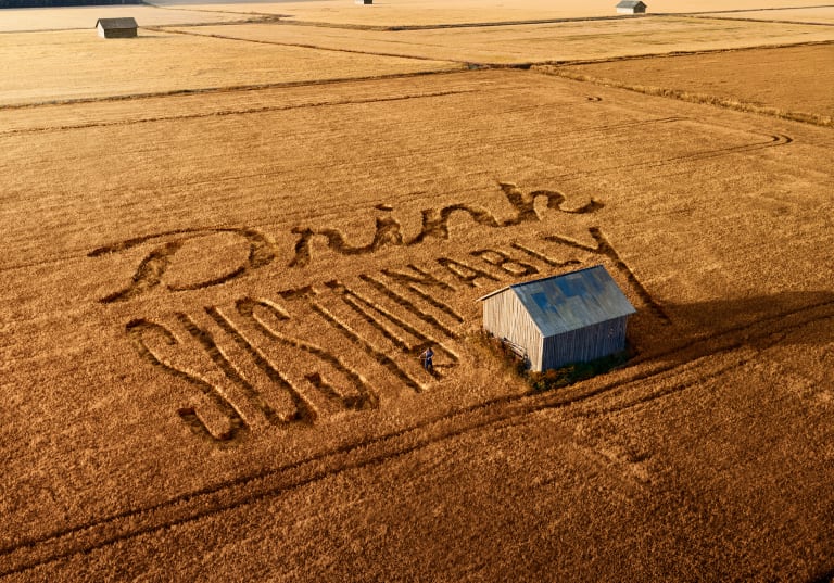 süsinikneutraalne tootmine