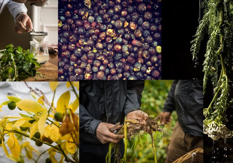 mis on gin dzinn džinn