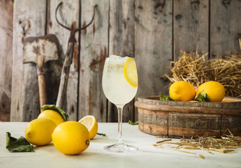 Lemon Spritz Cocktail for the summer