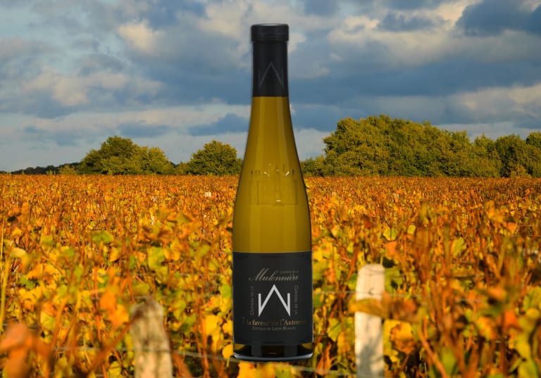 Flaska Faveur de l´Automne mot bakgrund av höstiga vinstockar i Loire.