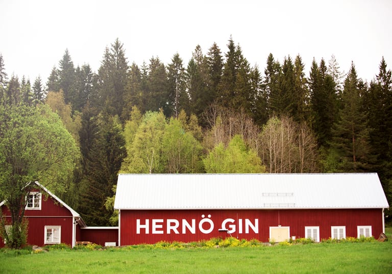 Hernö Gin ladugård