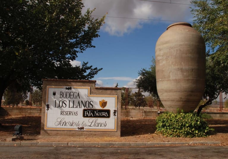 Bodega Los Lanos