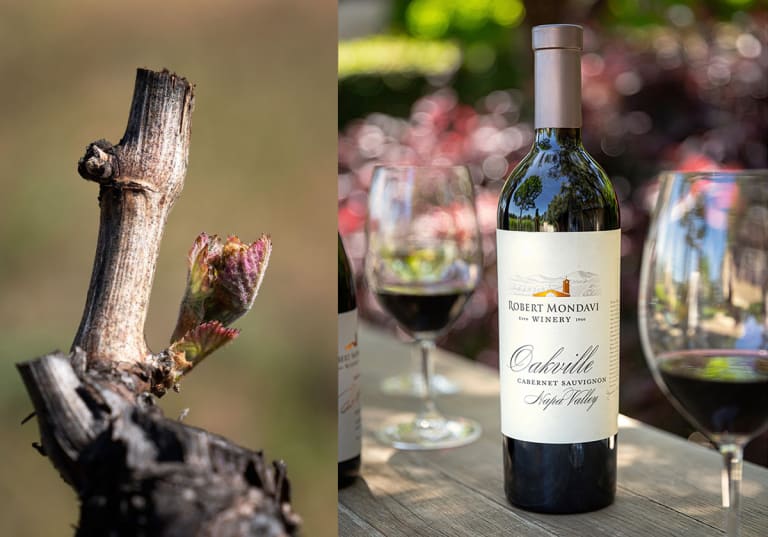 Robert Mondavi Cabernet Sauvignon Oakville 2018