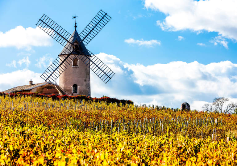 Regionen Beaujolais i Frankrike.