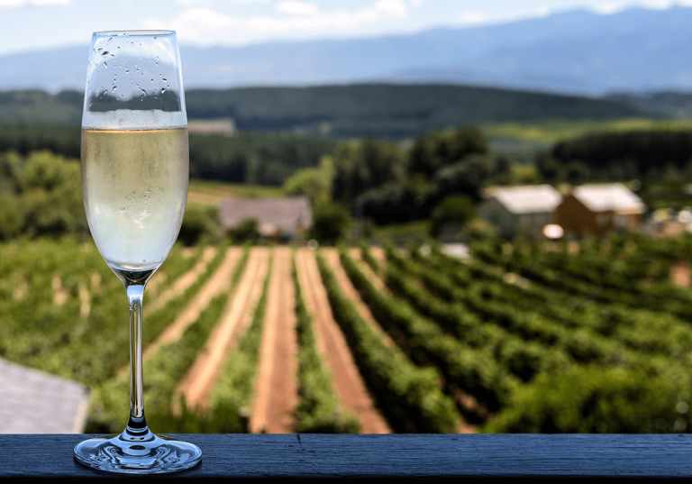 Ett glas cava med en vingård i bakgrunden