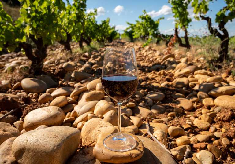 Vin i Châteauneuf-du-Pape.