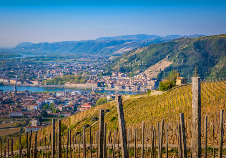 Côte du Rhône i Rhônedalen.