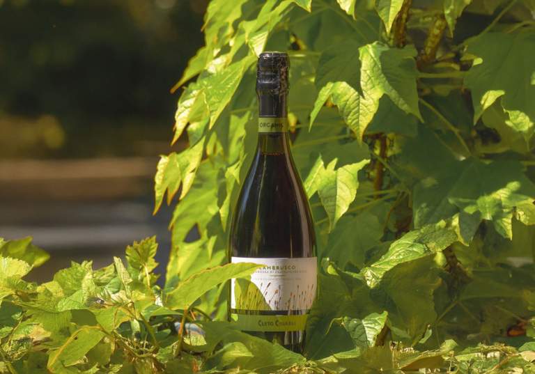 Lambrusco från Cleto Chiarli.