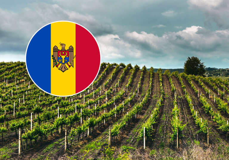 Vingård i Moldavien med Moldaviens flagga.