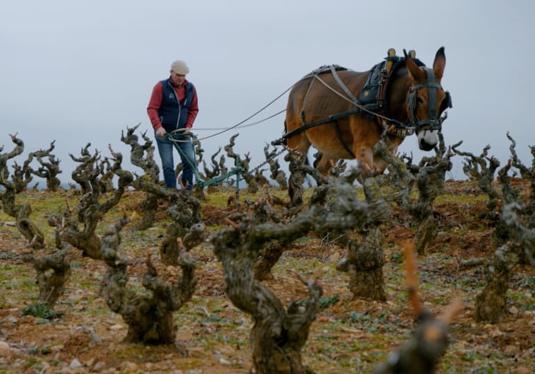 Bodegas Nivarius i Rioja.