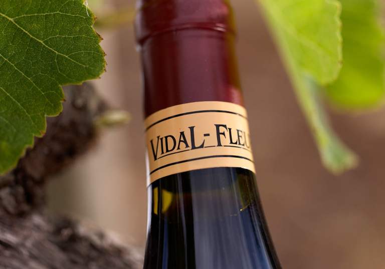 Vin från Rhônedalen.
