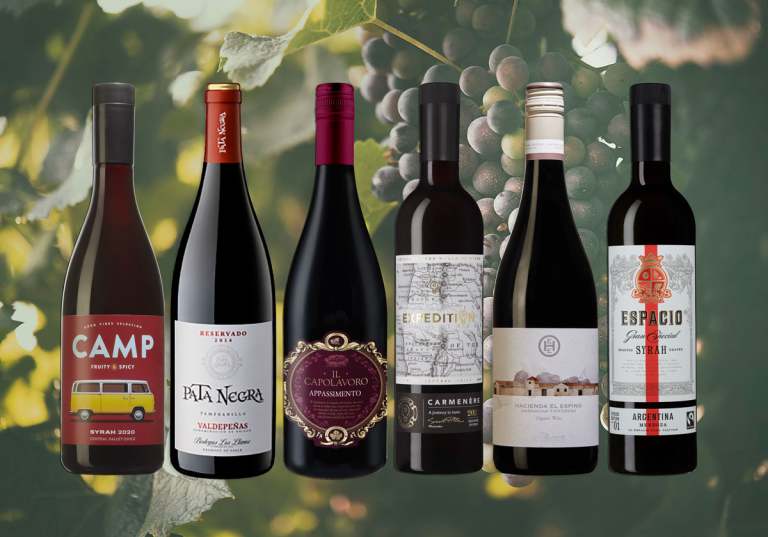 6 bästa röda vinerna under 100 kronor.